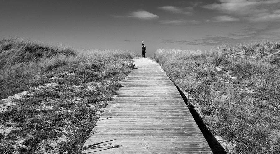 El Punto Omega II Román Montesinos