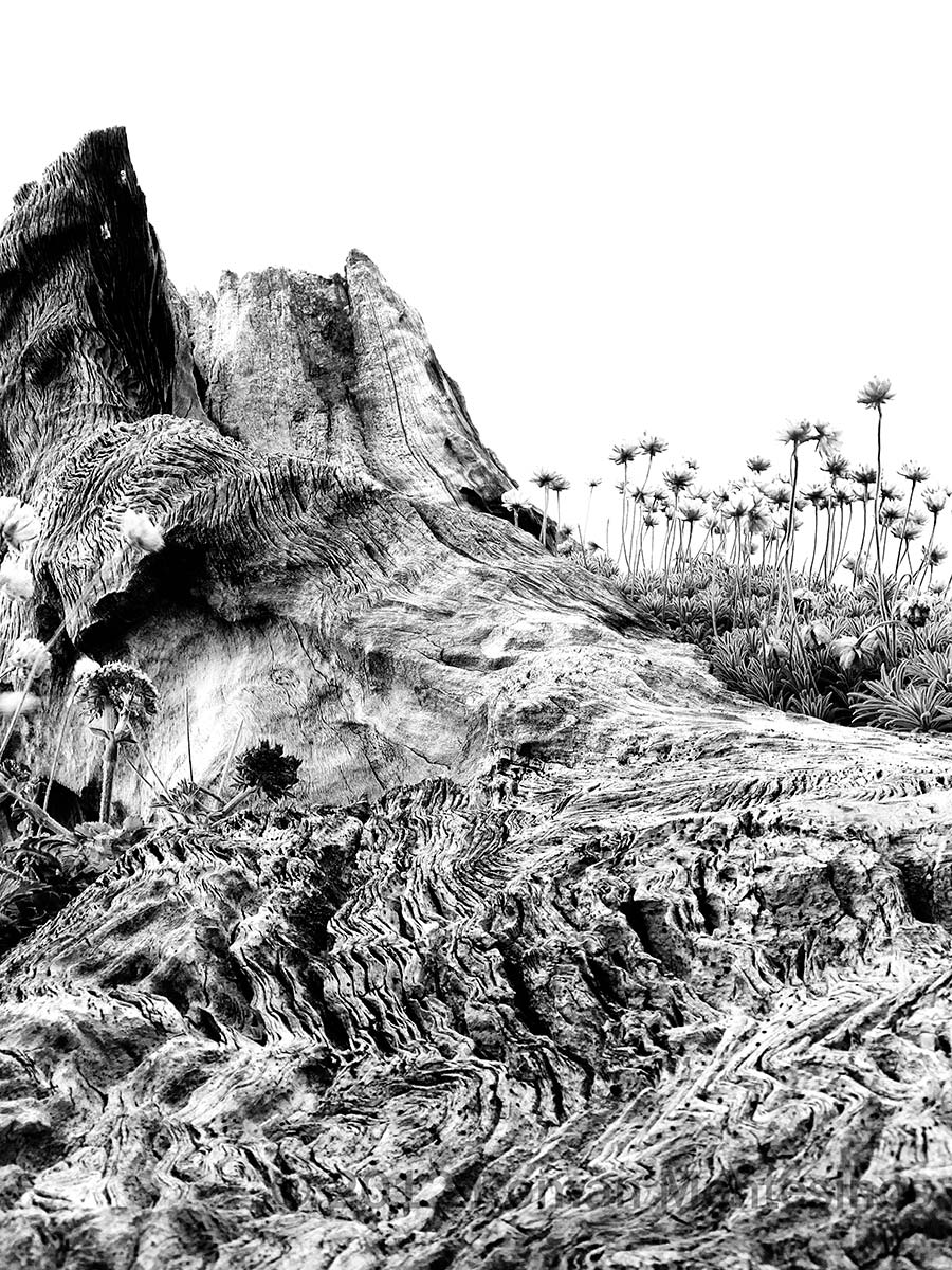 paisaje Paisaje atormentado