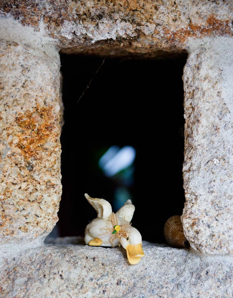 remanso_patos