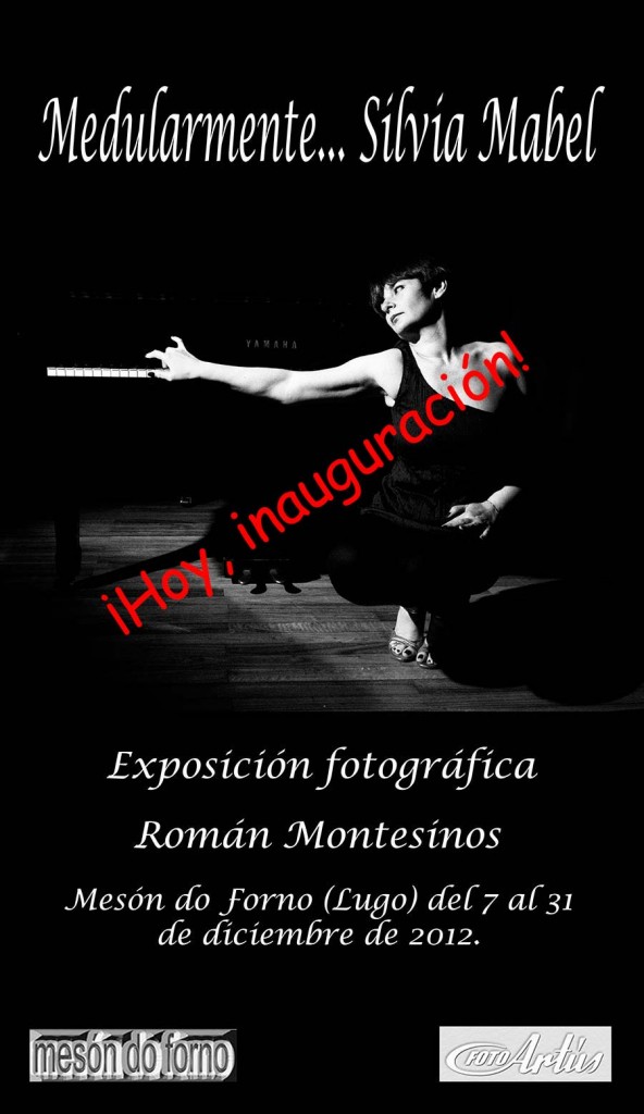 Inaugu_Si_Meson
