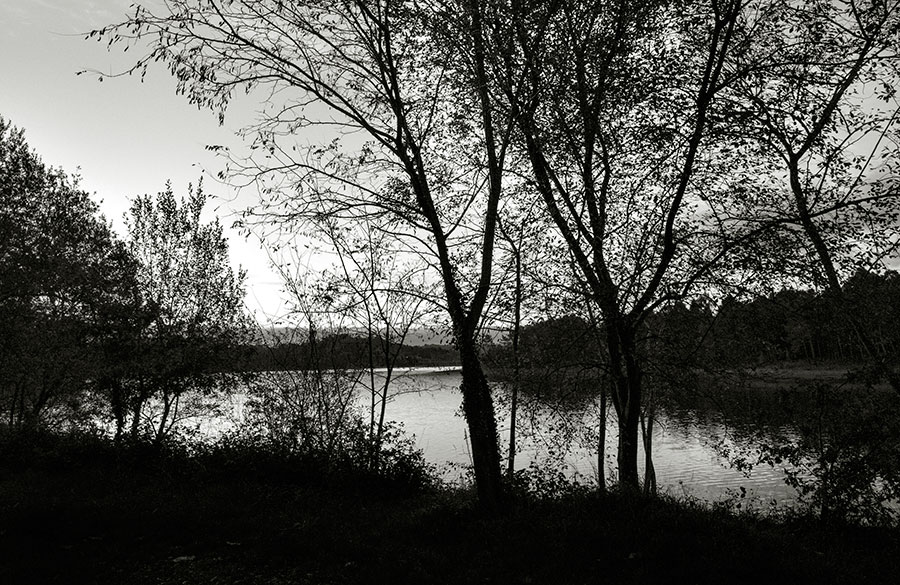 Cecebre 0815 Román Montesinos