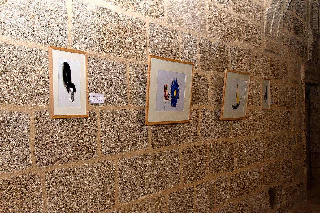 13416741_1208036579230317_8738943241791738164_o